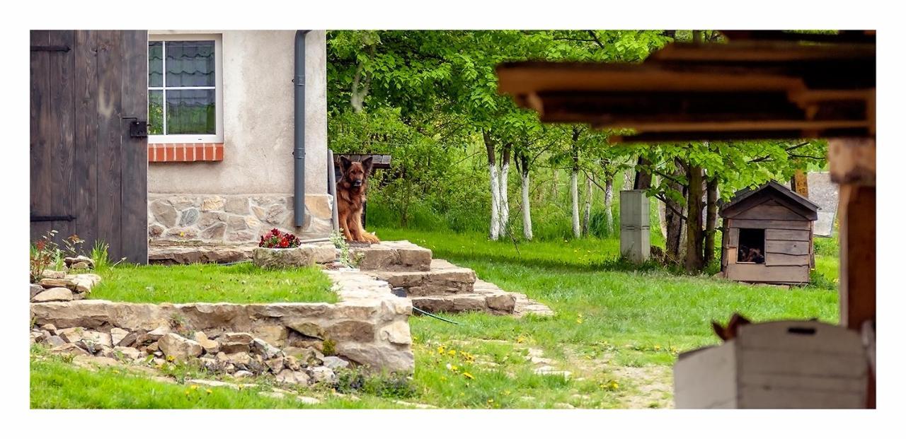 Villa Kozy i Róże Oldrzychowice Klodzkie Exterior foto