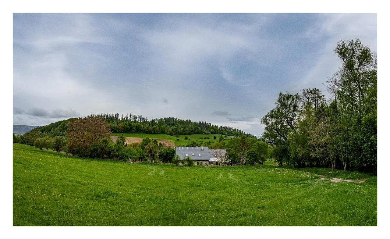 Villa Kozy i Róże Oldrzychowice Klodzkie Exterior foto